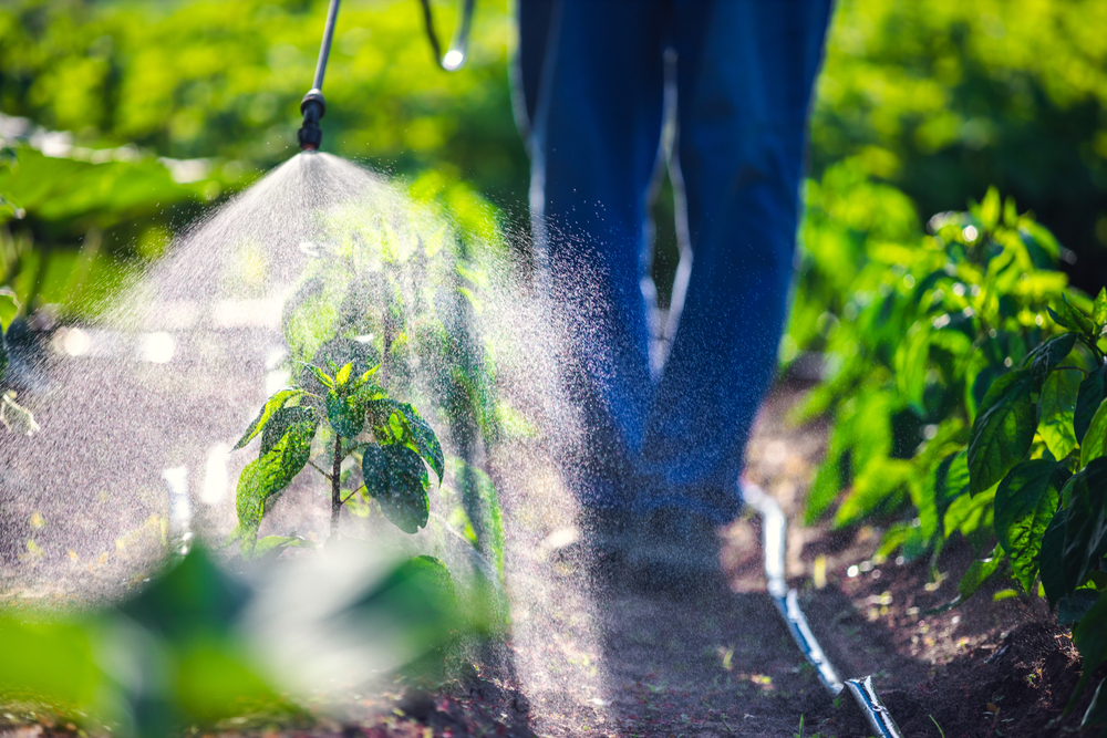 How to Obtain Agricultural Pesticides Import License?